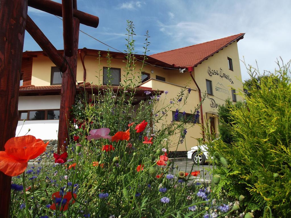 Pensiunea Casa Zmeilor Dragus Exterior photo